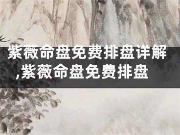 紫薇命盘免费排盘详解,紫薇命盘免费排盘