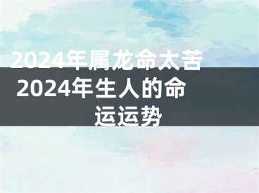 2024年属龙命太苦 2024年生人的命运运势