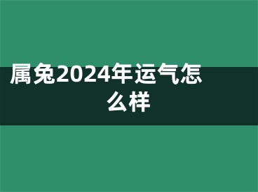 属兔2024年运气怎么样