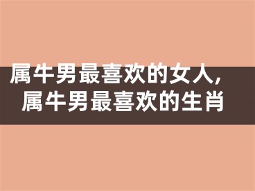 属牛男最喜欢的女人,属牛男最喜欢的生肖