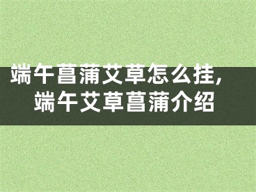 端午菖蒲艾草怎么挂,端午艾草菖蒲介绍