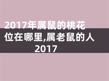 2017年属鼠的桃花位在哪里,属老鼠的人2017