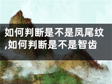 如何判断是不是凤尾纹,如何判断是不是智齿
