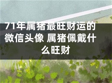 71年属猪最旺财运的微信头像 属猪佩戴什么旺财