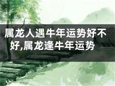 属龙人遇牛年运势好不好,属龙逢牛年运势