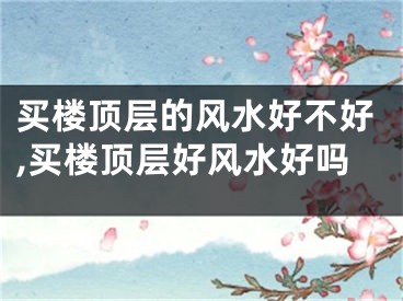 买楼顶层的风水好不好,买楼顶层好风水好吗