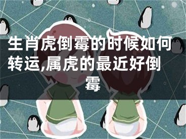 生肖虎倒霉的时候如何转运,属虎的最近好倒霉