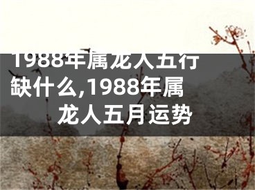 1988年属龙人五行缺什么,1988年属龙人五月运势