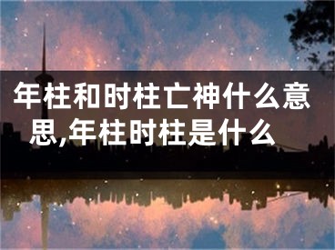 年柱和时柱亡神什么意思,年柱时柱是什么