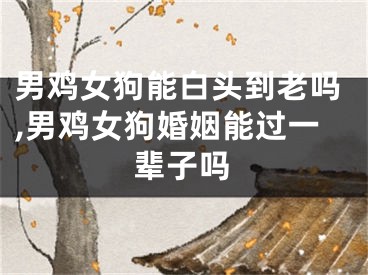 男鸡女狗能白头到老吗,男鸡女狗婚姻能过一辈子吗