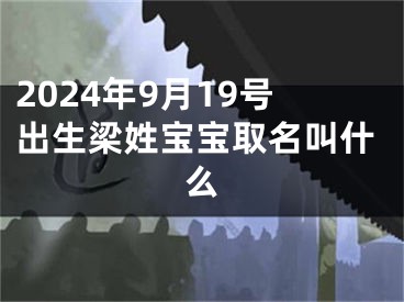 2024年9月19号出生梁姓宝宝取名叫什么