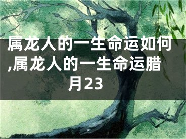 属龙人的一生命运如何,属龙人的一生命运腊月23