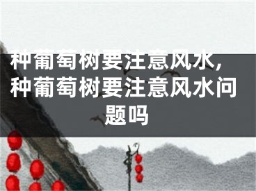 种葡萄树要注意风水,种葡萄树要注意风水问题吗