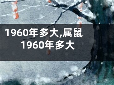 1960年多大,属鼠1960年多大