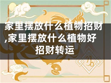 家里摆放什么植物招财,家里摆放什么植物好招财转运