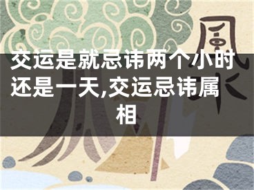 交运是就忌讳两个小时还是一天,交运忌讳属相