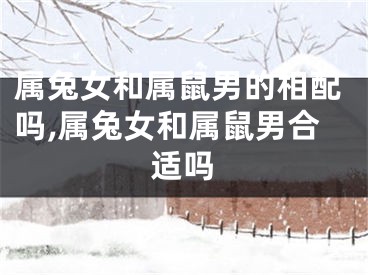 属兔女和属鼠男的相配吗,属兔女和属鼠男合适吗