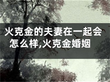 火克金的夫妻在一起会怎么样,火克金婚姻