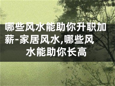 哪些风水能助你升职加薪-家居风水,哪些风水能助你长高