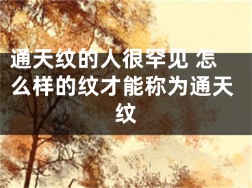 通天纹的人很罕见 怎么样的纹才能称为通天纹