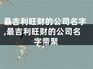 最吉利旺财的公司名字,最吉利旺财的公司名字带聚