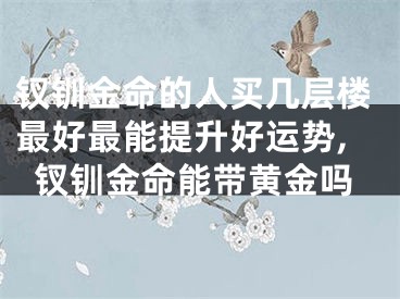 钗钏金命的人买几层楼最好最能提升好运势,钗钏金命能带黄金吗