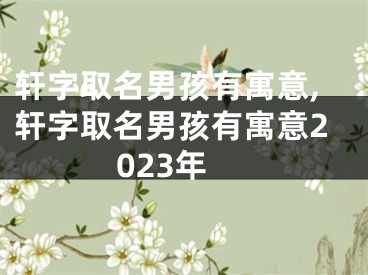 轩字取名男孩有寓意,轩字取名男孩有寓意2023年