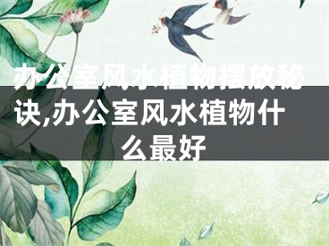 办公室风水植物摆放秘诀,办公室风水植物什么最好