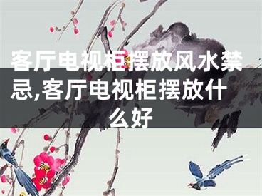 客厅电视柜摆放风水禁忌,客厅电视柜摆放什么好