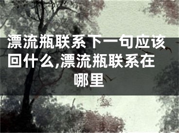 漂流瓶联系下一句应该回什么,漂流瓶联系在哪里