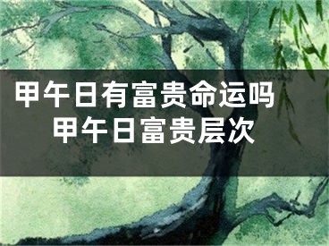 甲午日有富贵命运吗  甲午日富贵层次