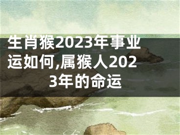 生肖猴2023年事业运如何,属猴人2023年的命运