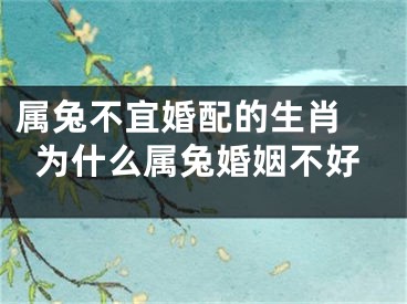 属兔不宜婚配的生肖 为什么属兔婚姻不好