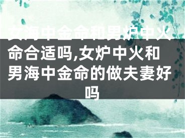女海中金命和男炉中火命合适吗,女炉中火和男海中金命的做夫妻好吗