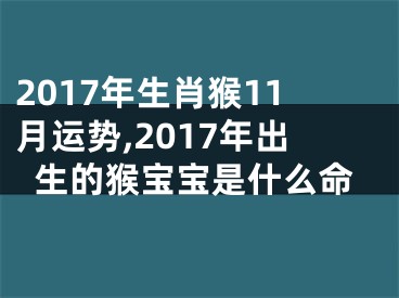 2017年生肖猴11月运势,2017年出生的猴宝宝是什么命