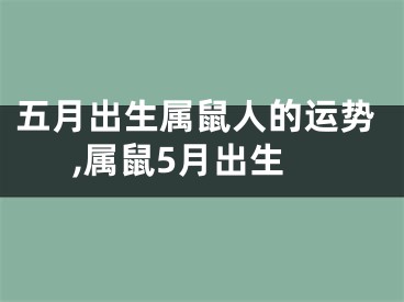 五月出生属鼠人的运势,属鼠5月出生