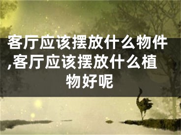 客厅应该摆放什么物件,客厅应该摆放什么植物好呢