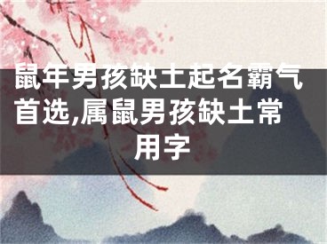 鼠年男孩缺土起名霸气首选,属鼠男孩缺土常用字