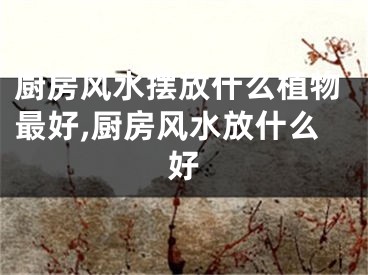 厨房风水摆放什么植物最好,厨房风水放什么好