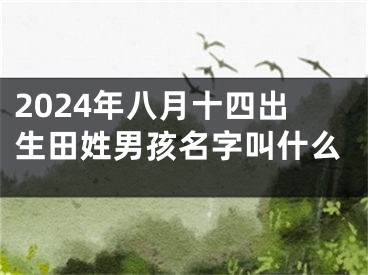 2024年八月十四出生田姓男孩名字叫什么