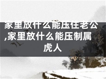 家里放什么能压住老公,家里放什么能压制属虎人