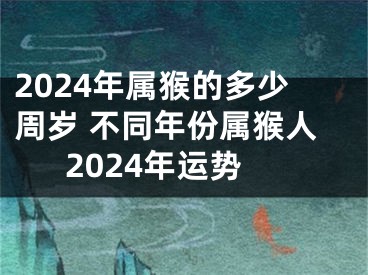 2024年属猴的多少周岁 不同年份属猴人2024年运势