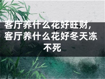 客厅养什么花好旺财,客厅养什么花好冬天冻不死