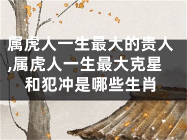 属虎人一生最大的贵人,属虎人一生最大克星和犯冲是哪些生肖