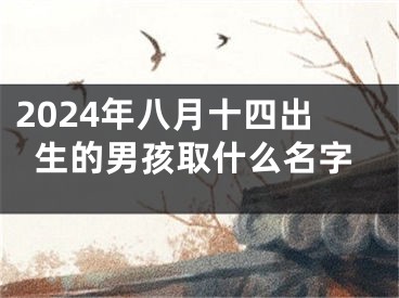 2024年八月十四出生的男孩取什么名字