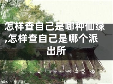 怎样查自己是哪种仙缘,怎样查自己是哪个派出所