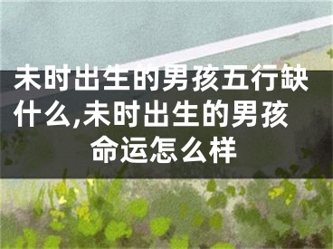未时出生的男孩五行缺什么,未时出生的男孩命运怎么样