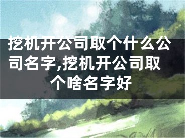 挖机开公司取个什么公司名字,挖机开公司取个啥名字好