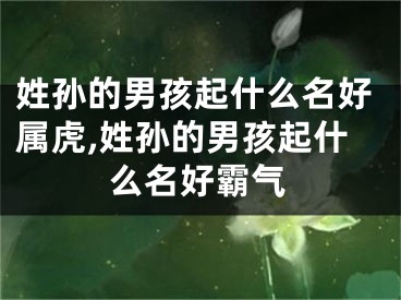 姓孙的男孩起什么名好属虎,姓孙的男孩起什么名好霸气