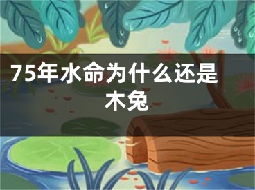 75年水命为什么还是木兔